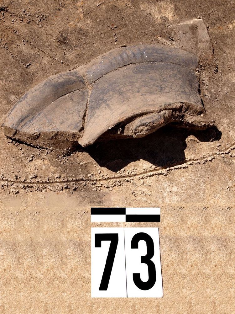 Odkrycia archeologiczne na terenie budowy obwodnicy Wronek