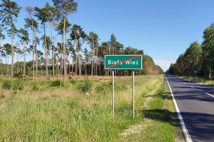 Aktualny stan drogi wojew&oacute;dzkiej nr 308