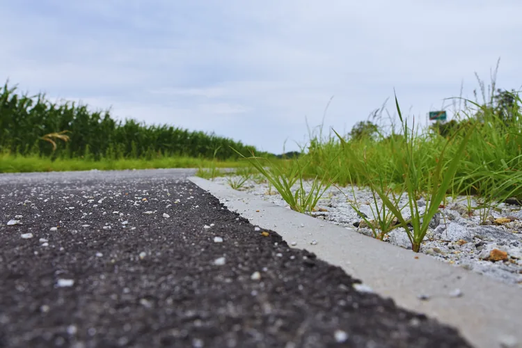 Nowa droga dla rower&oacute;w na odcinku Krzywiń &ndash; Jerka